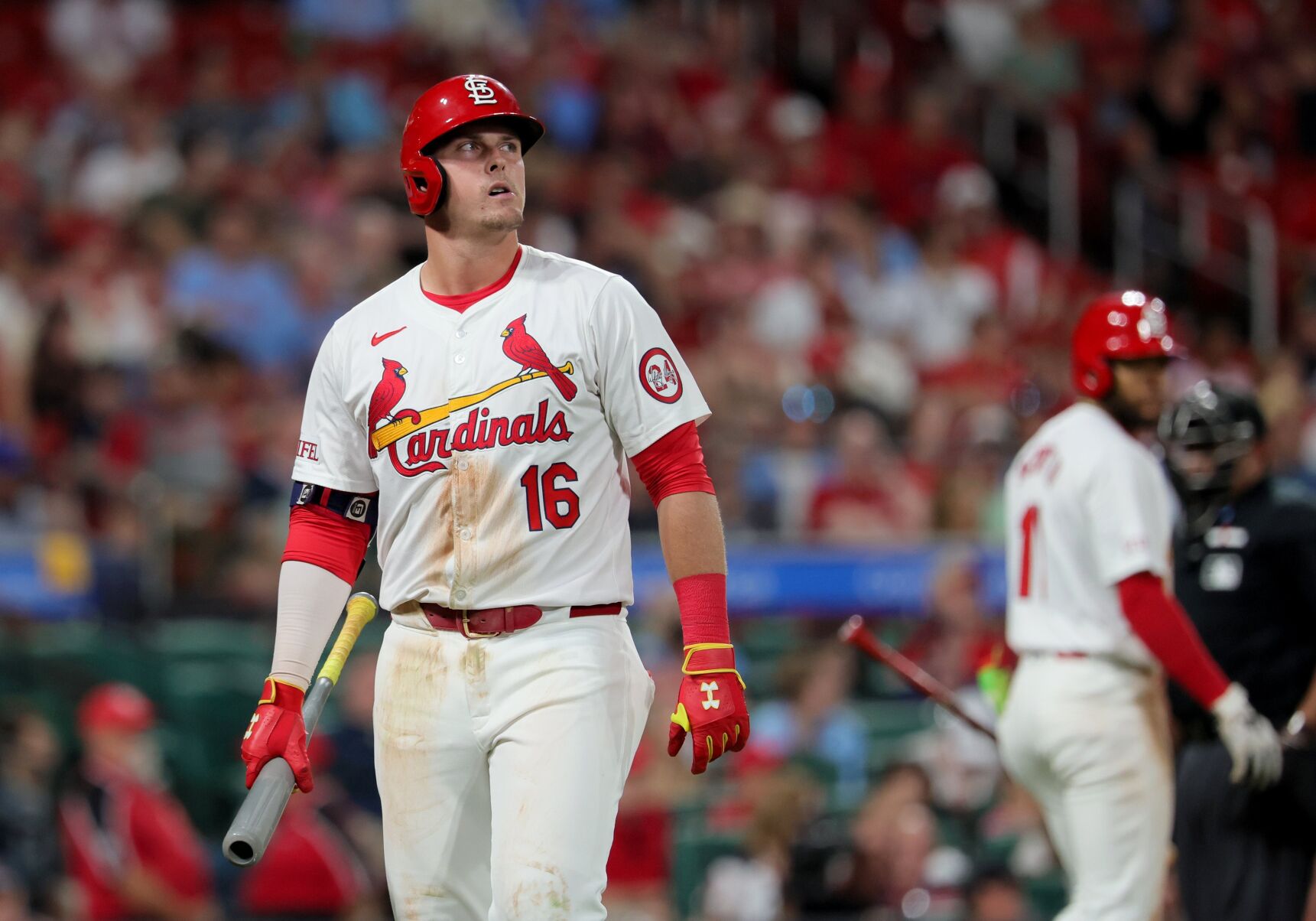 Tampa Bay Rays vs St. Louis Cardinals